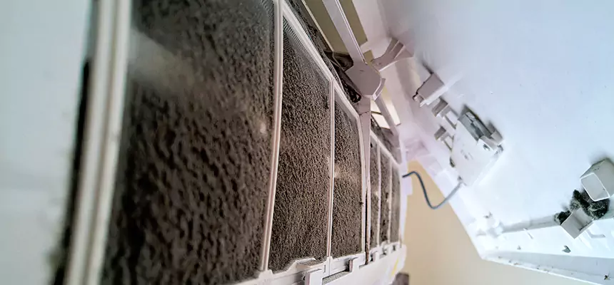 Preventive Air Duct Bacteria Removal in Southfield