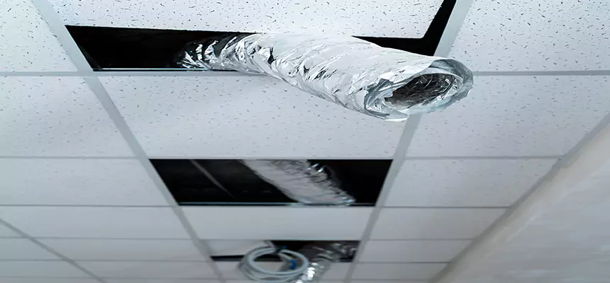 Our Air Duct Pet Hair Removal Services in Southfield, MI