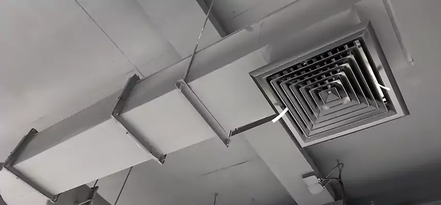 Our Pest Removal From Ducts Services in Southfield, MI