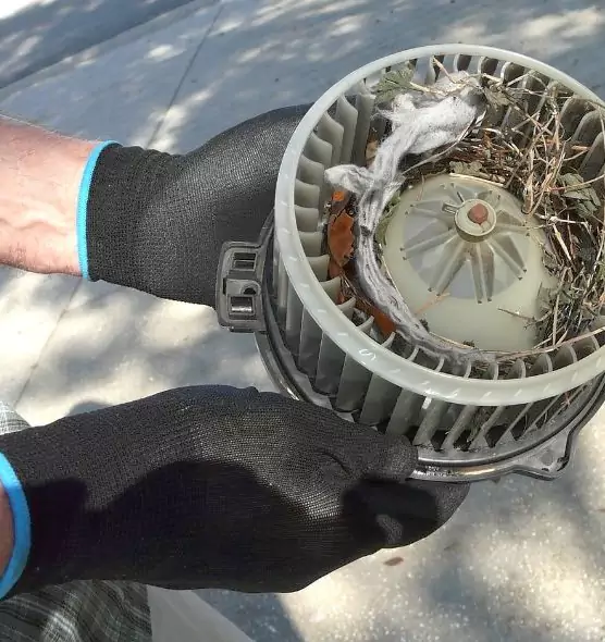 About Air Duct Mice Removal in Southfield, MI