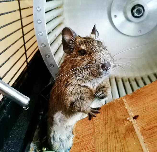 Why Homeowners & Businesses Trust Us Southfield, MI?