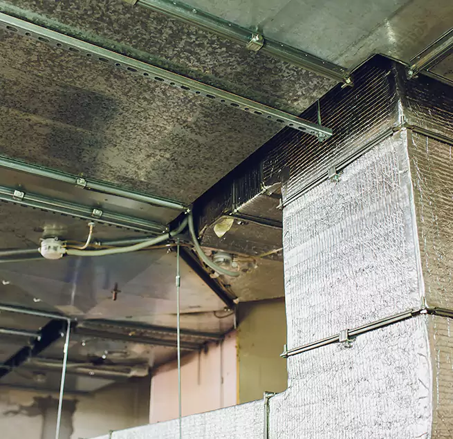 Why Homeowners & Businesses Trust Us in Southfield, MI?